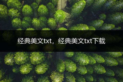 经典美文txt，经典美文txt下载