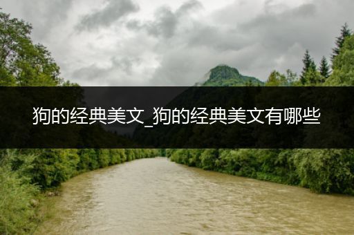 狗的经典美文_狗的经典美文有哪些