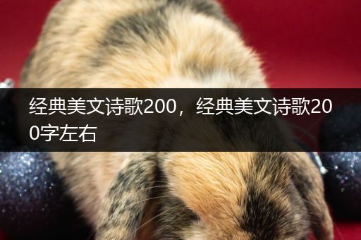 经典美文诗歌200，经典美文诗歌200字左右