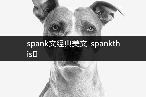 spank文经典美文_spankthis 